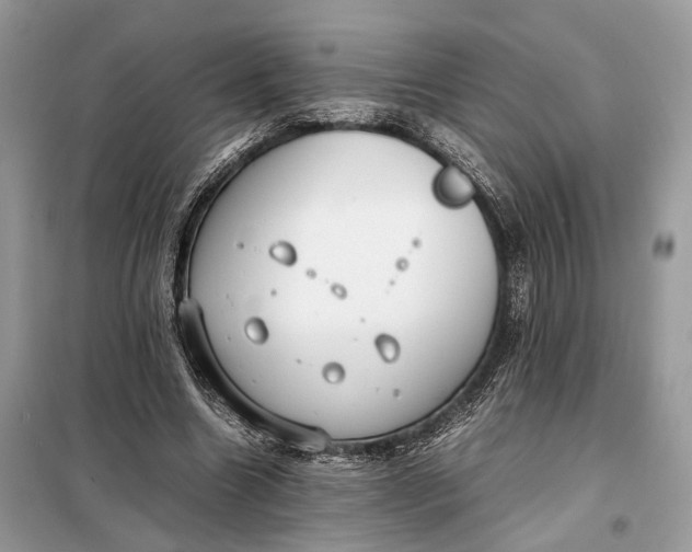 X0000099230538200805081559