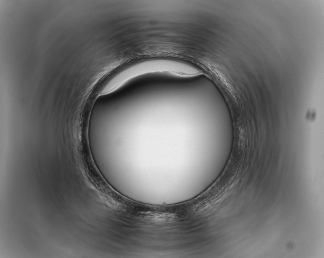 X0000099230539200805081559