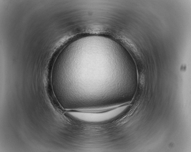 X0000099230540200805081559