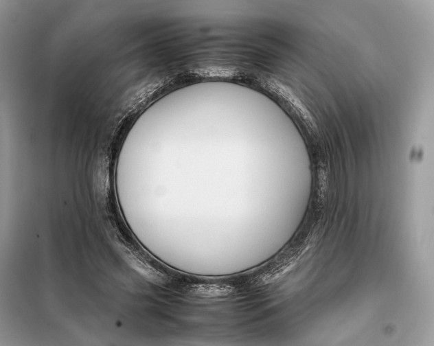 X0000099230541200805081559