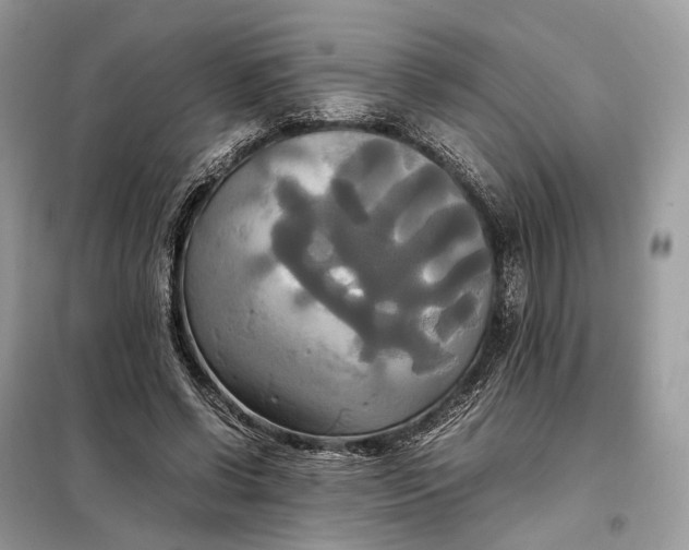 X0000099230542200805081559