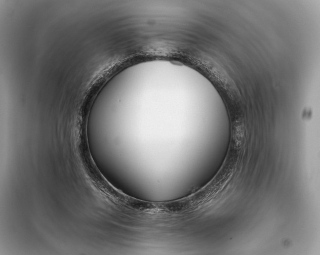 X0000099230544200805081559