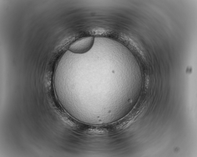 X0000099230545200805081559