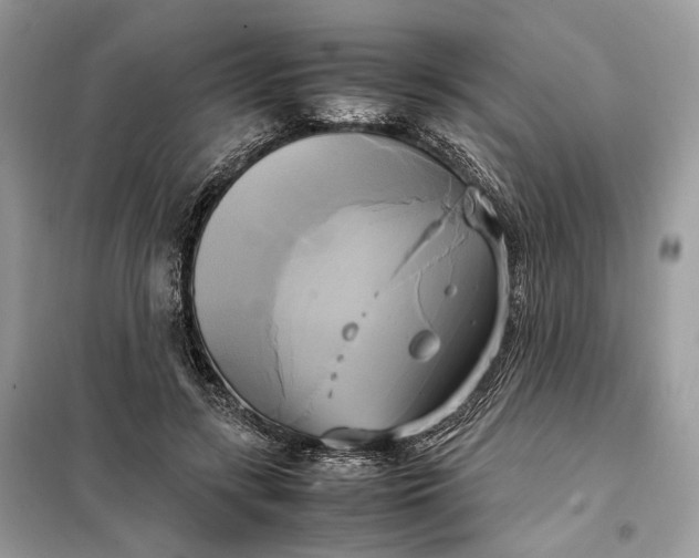 X0000099230547200805081559