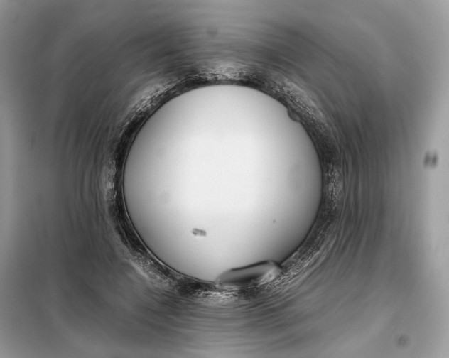 X0000099230548200805081559