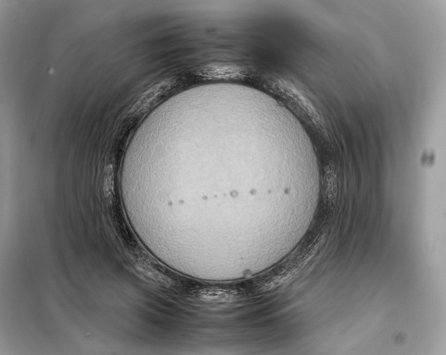 X0000099230549200805081559