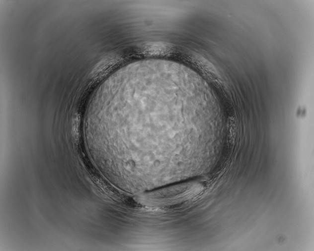 X0000099230550200805081559