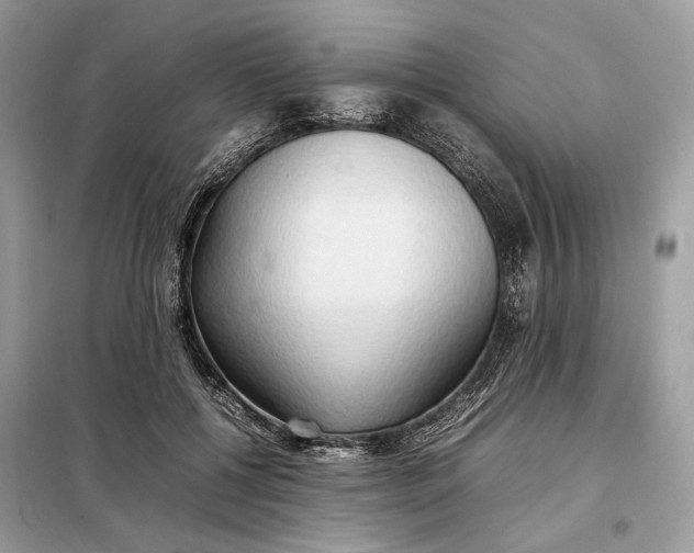 X0000099230552200805081559