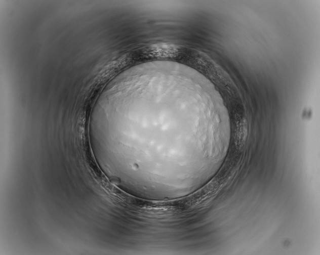 X0000099230553200805081559