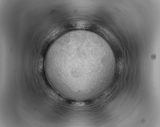 X0000099230554200805081559