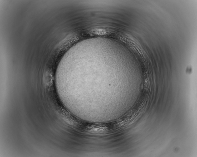 X0000099230555200805081559