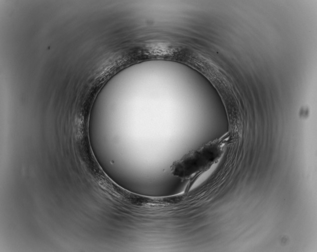 X0000099230556200805081559