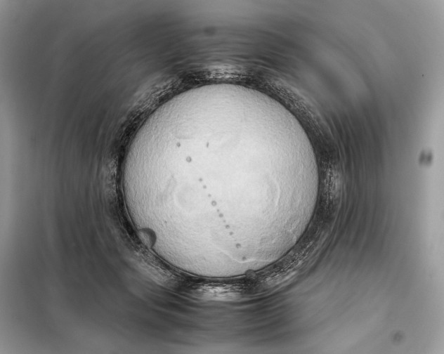 X0000099230557200805081559