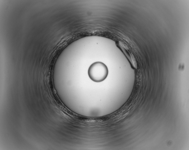 X0000099230558200805081559