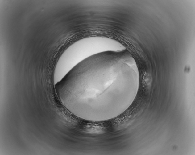 X0000099230559200805081559