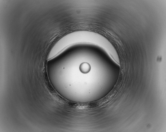 X0000099230560200805081559