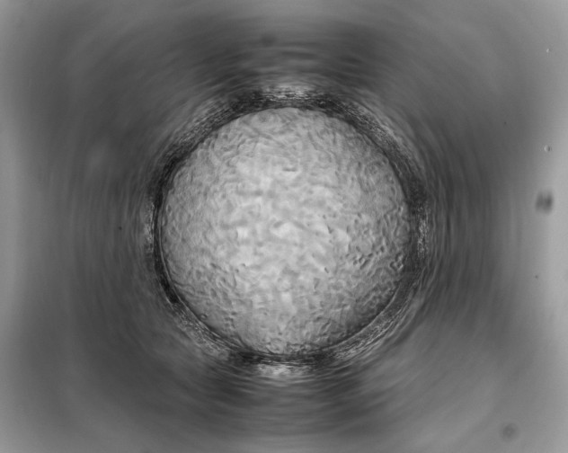 X0000099230561200805081559