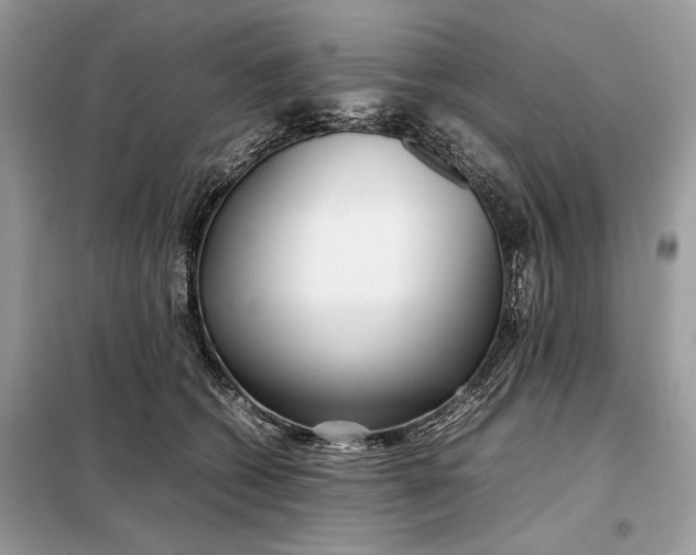 X0000099230562200805081600