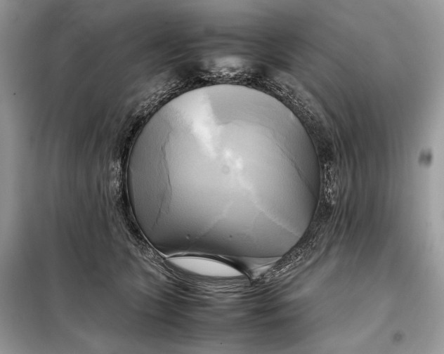 X0000099230563200805081600