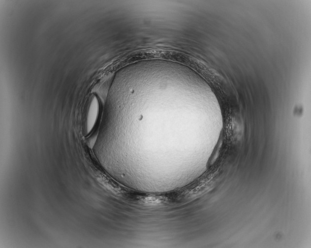 X0000099230566200805081600