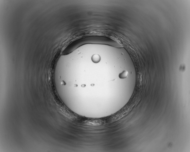 X0000099230567200805081600