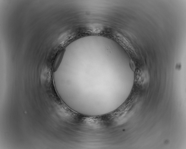 X0000099230568200805081600