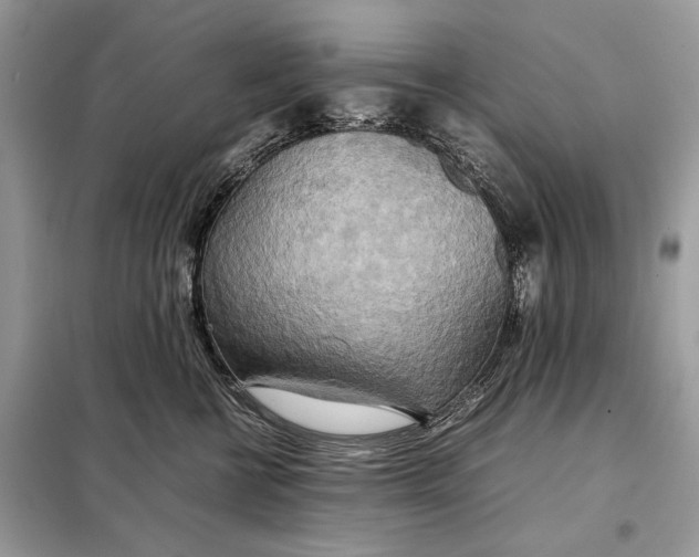 X0000099230570200805081600