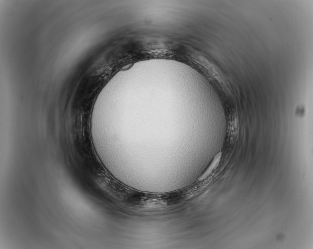 X0000099230572200805081600