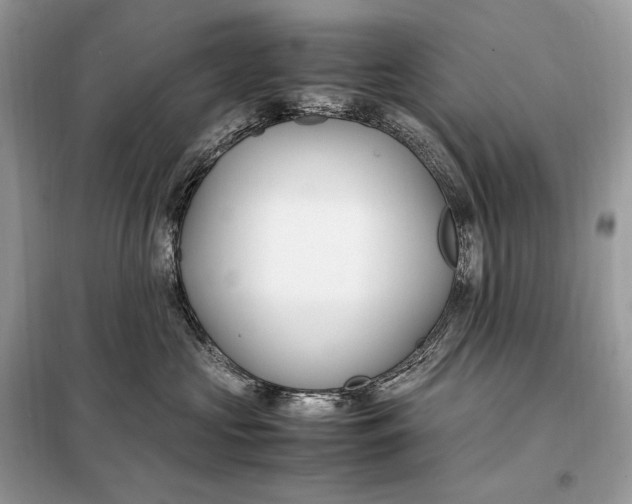 X0000099230573200805081600