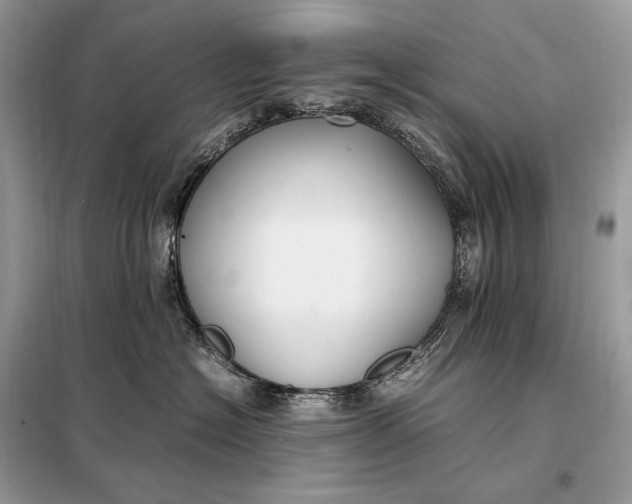 X0000099230574200805081600