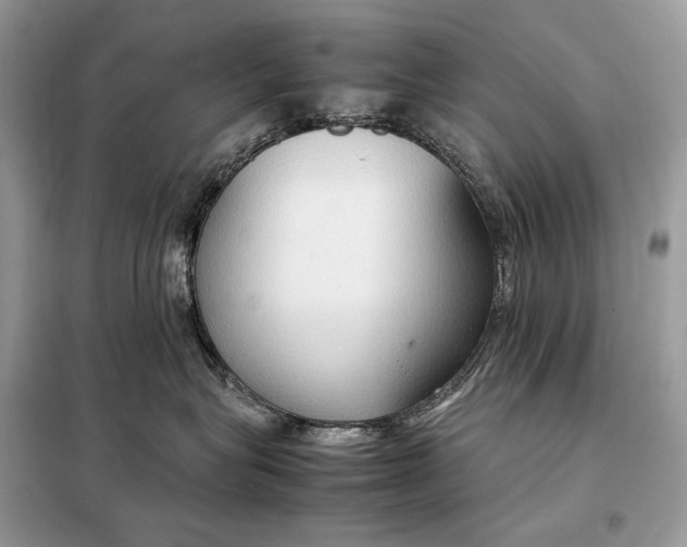 X0000099230575200805081600