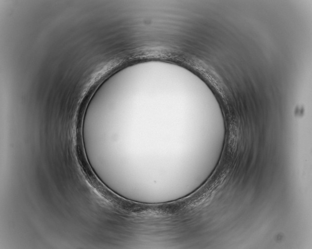 X0000099230578200805081559