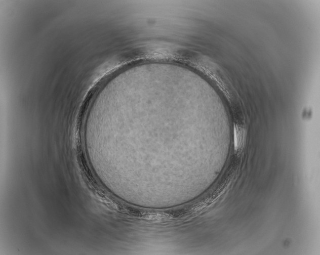 X0000099230579200805081559