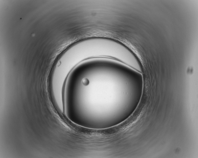 X0000099230581200805081559