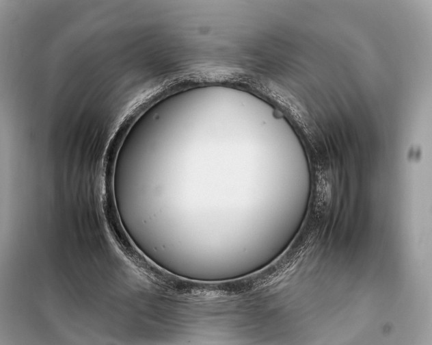 X0000099230582200805081559