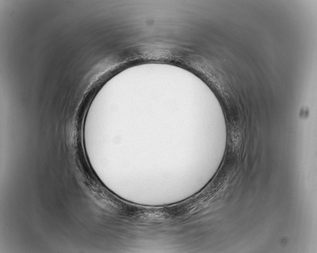 X0000099230583200805081559