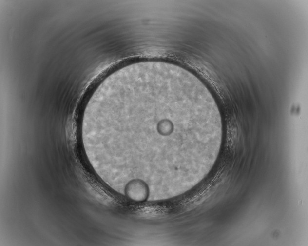 X0000099230584200805081559