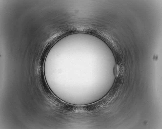 X0000099230587200805081559