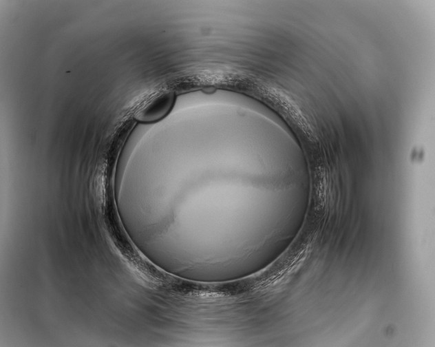 X0000099230590200805081559