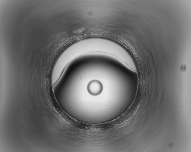 X0000099230593200805081559