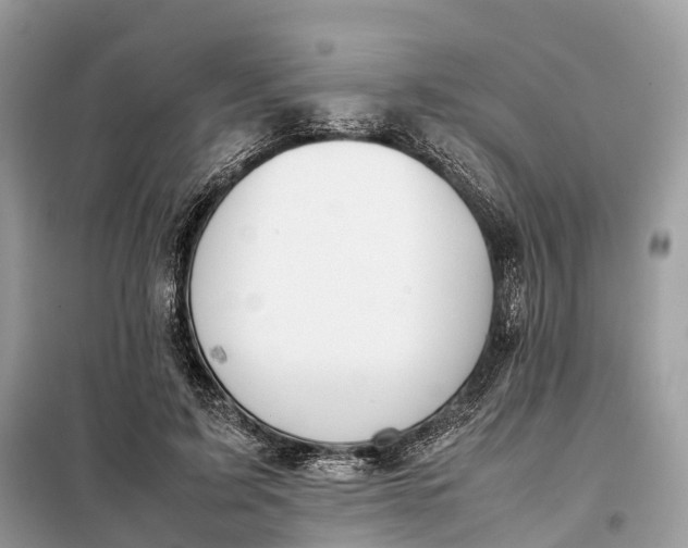 X0000099230595200805081559