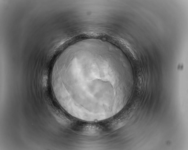 X0000099230596200805081559