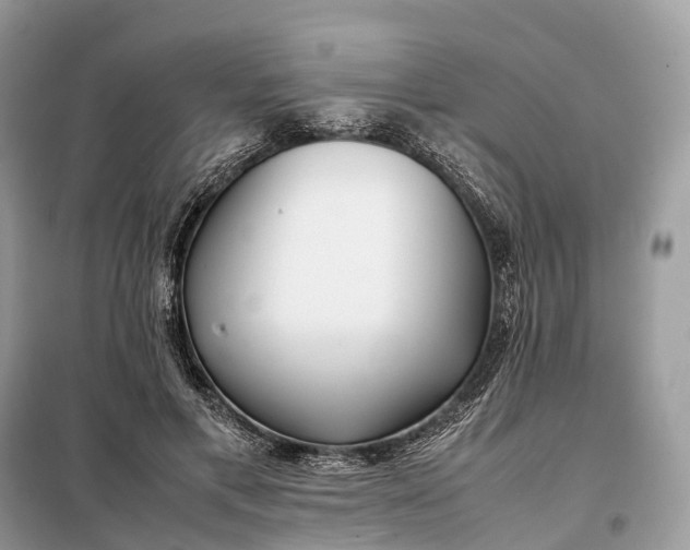 X0000099230597200805081559