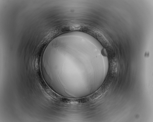 X0000099230598200805081559