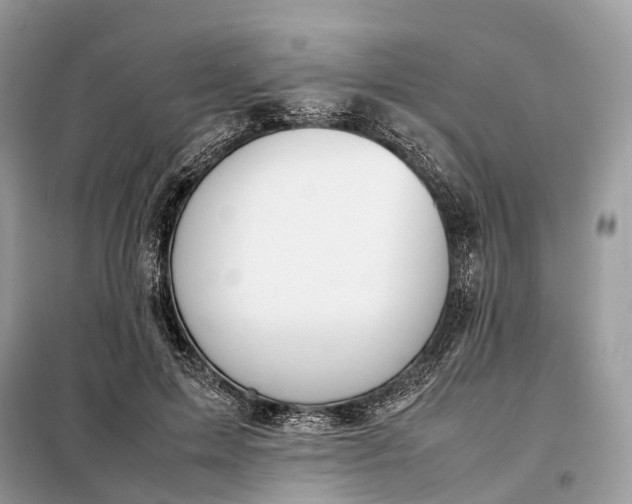 X0000099230599200805081559