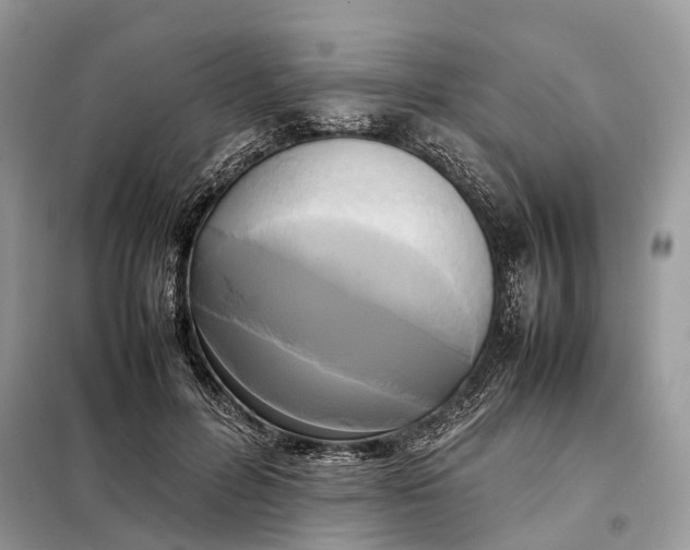 X0000099230600200805081559