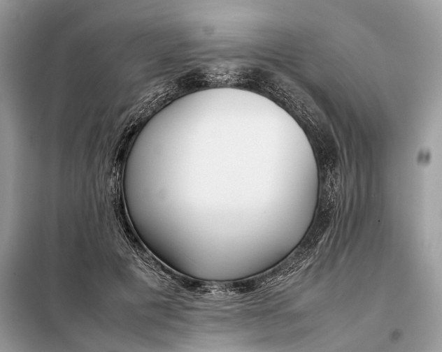 X0000099230601200805081559