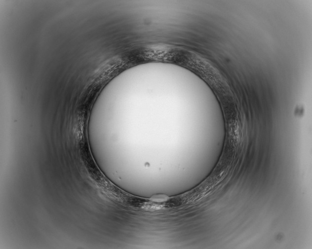 X0000099230602200805081559