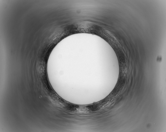 X0000099230603200805081559