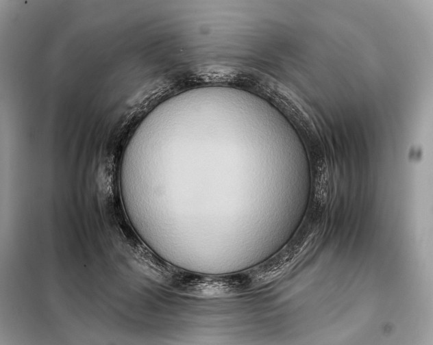 X0000099230604200805081559